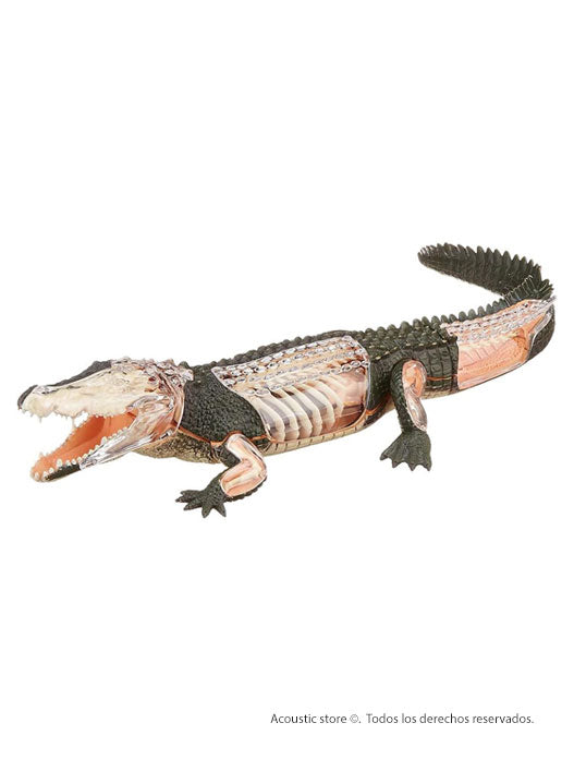 Figura cocodrilo armable