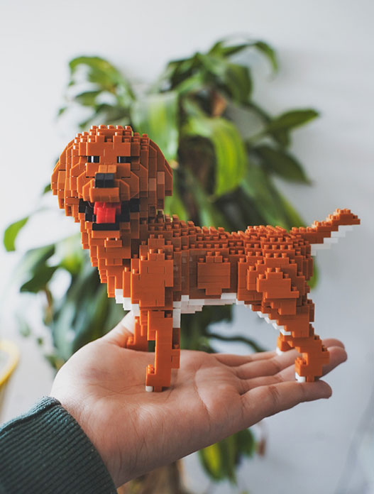 Golden retriever tipo lego