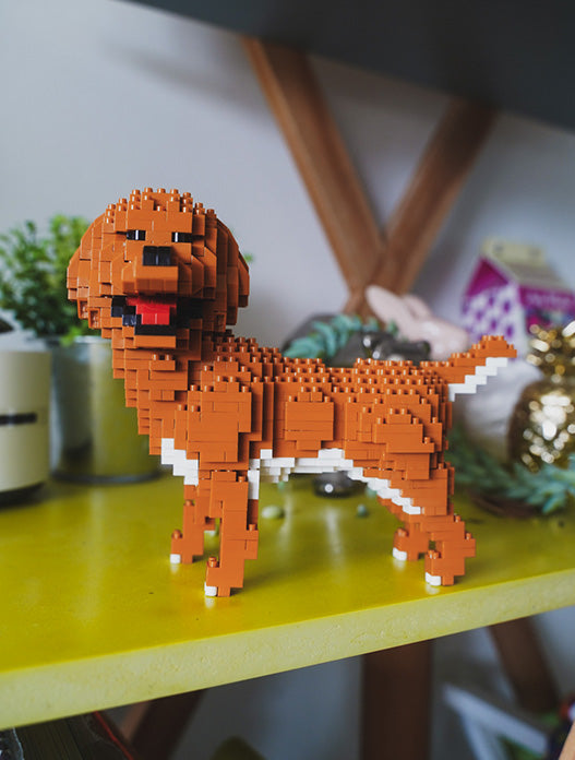 Golden retriever tipo lego