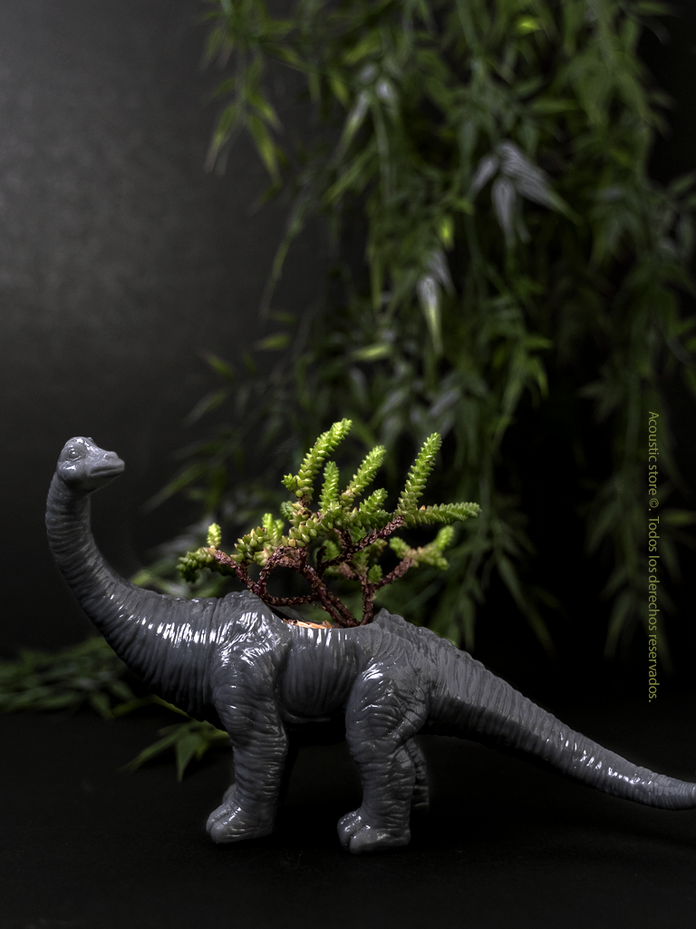 Matera brontosaurus negro