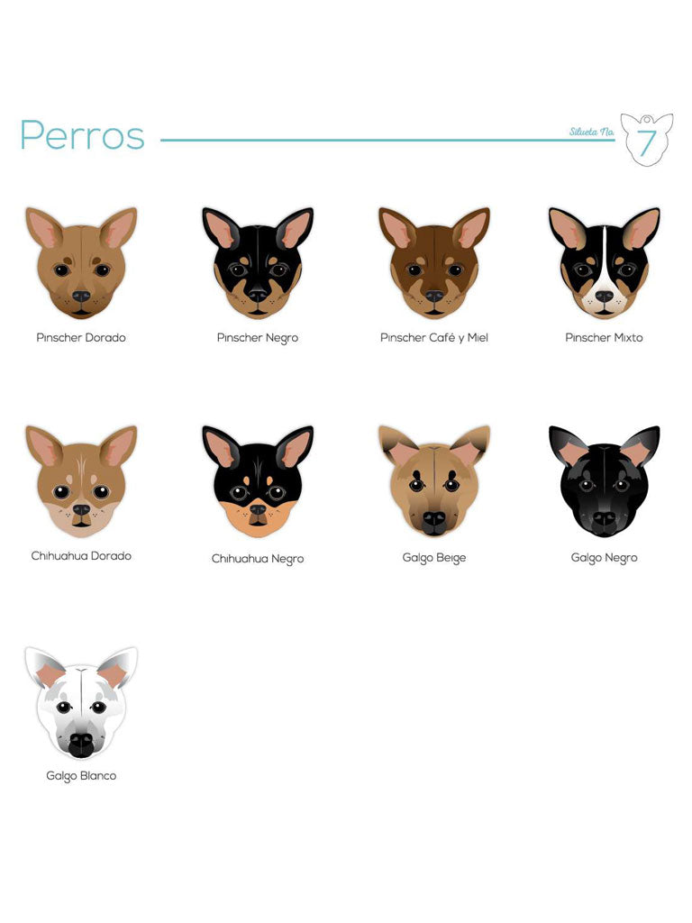 Placas perritos