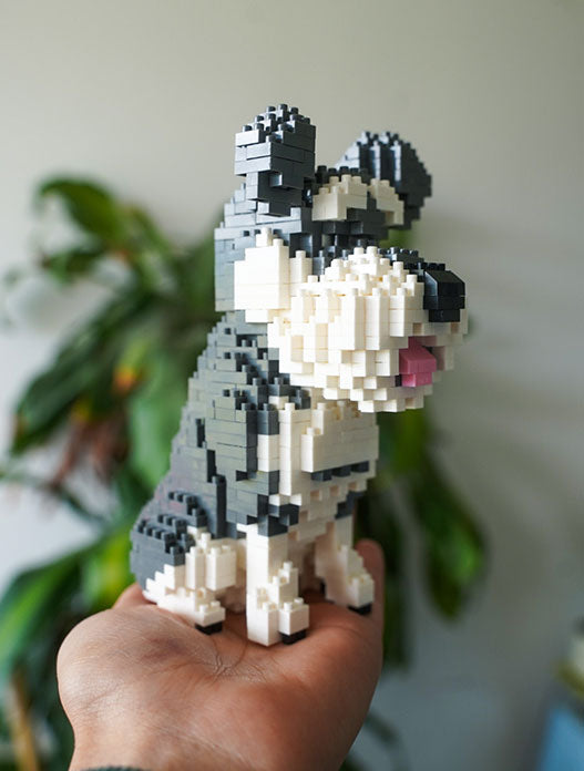 Schnauzer tipo lego