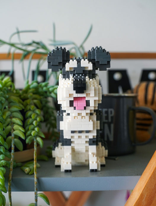 Schnauzer tipo lego